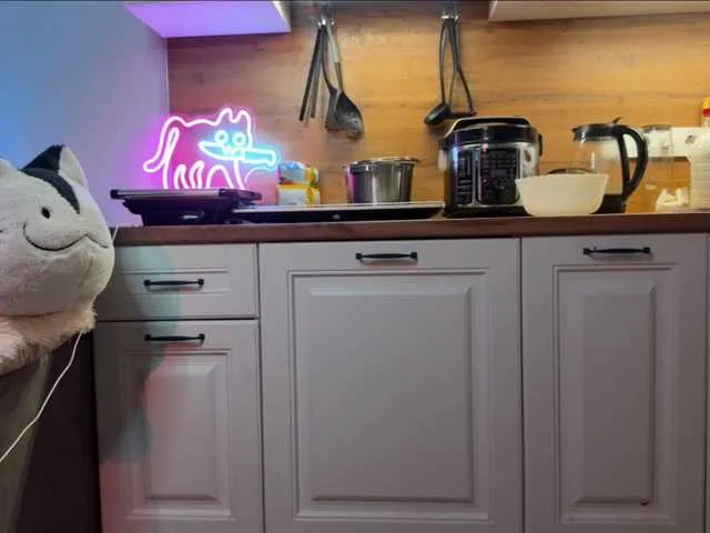 Alisa-Cheshirovna Image 16