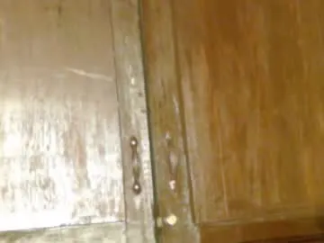 musclegodsammy23 Image 19