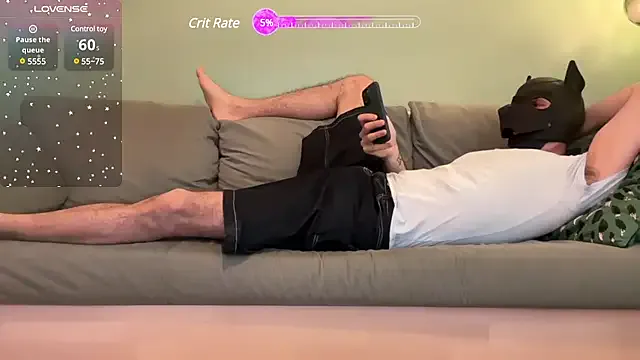 FrenchCamDog Image 2