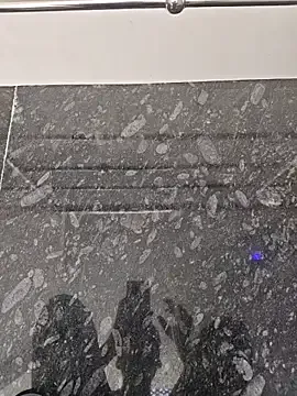 INDIAN_BULL_TAMIL Image 3